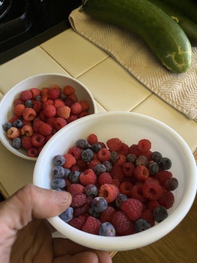 IMG_6425.jpeg