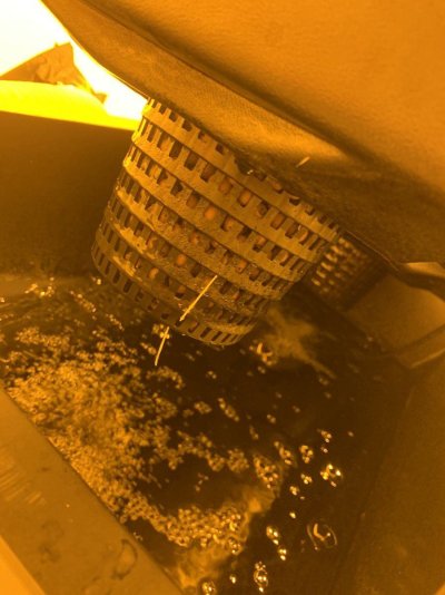 First dwc grow any help or advice