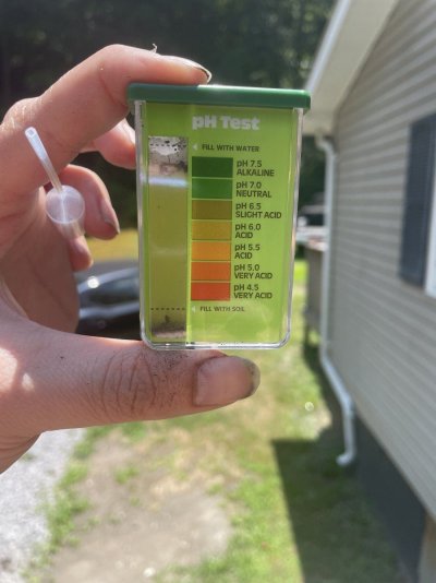 Diagnosis of my plant 6 weeks old