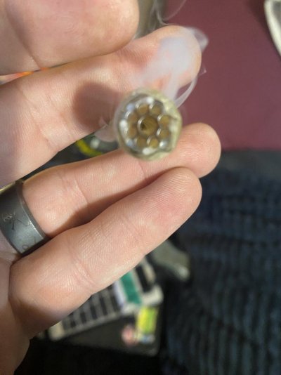 IMG_6743.jpeg