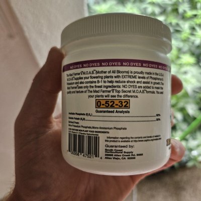 Has anyone ever used this? If so, is it good?