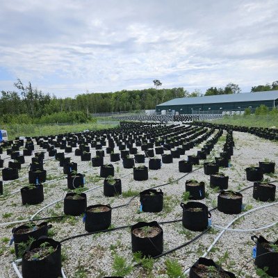 Let's see your 2024 outdoor grow!!
