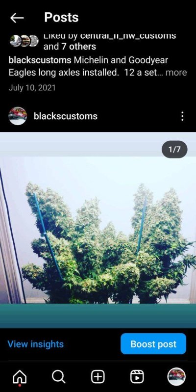 Screenshot_20240602_144228_Instagram.jpg
