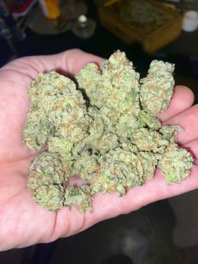 IMG_5638.jpeg