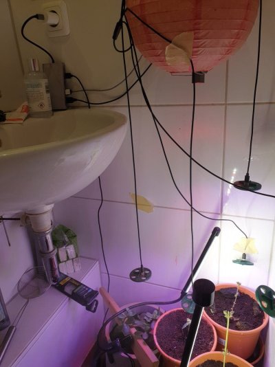 my-growing-spa-d-15.jpg
