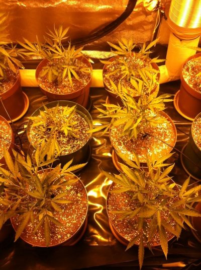 SLH Aug 30 NUTE BURN (9).JPG