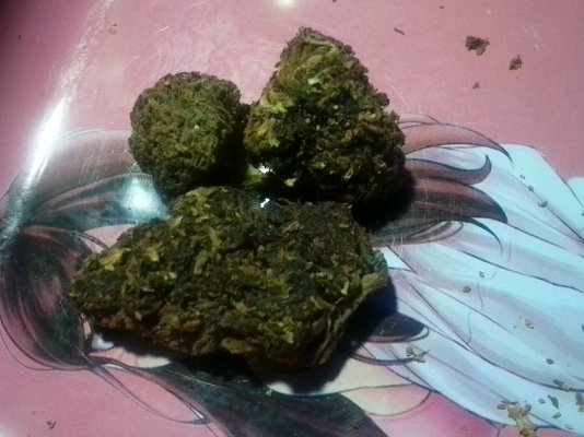 Brownish moon rocks