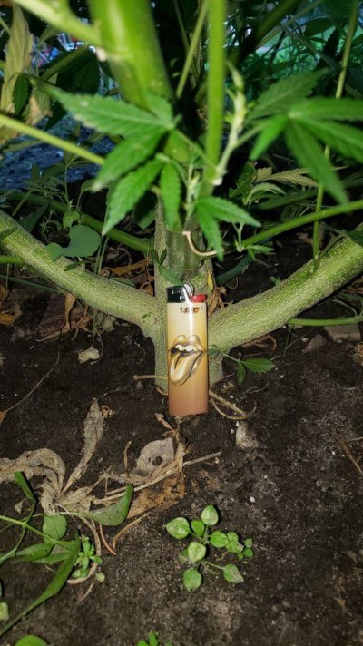 20240809_200733.jpg