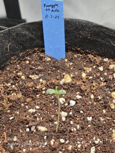 2024 ONE GALLON CHALLENGE PHOTO SUBMISSION TOPIC