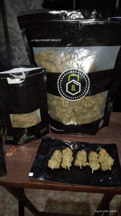 gonna smoke some opium and overdose under a tequila sunrise