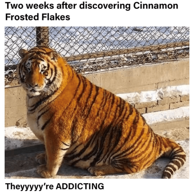 THE TRAINWRECK. Brought to you by thcfarrmer…..