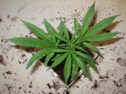 tw day13f e.JPG