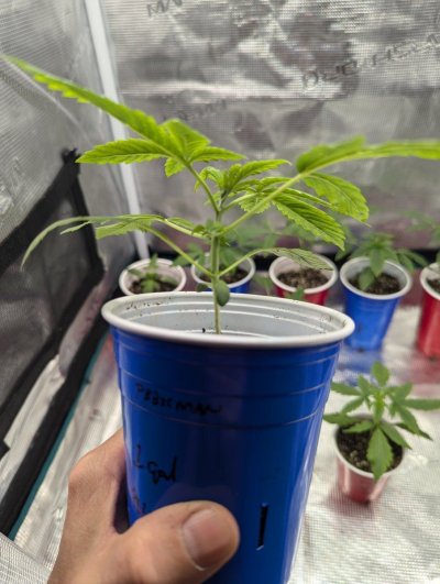 2024 ONE GALLON CHALLENGE PHOTO SUBMISSION TOPIC