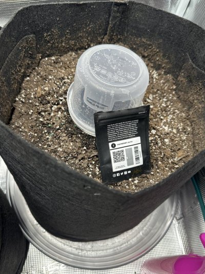 FIRST TIME GROWER(inpatient grower)