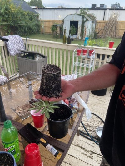 IMG_0207.jpeg