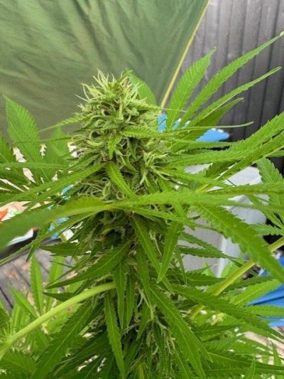 thumbnail_img_1673.jpg