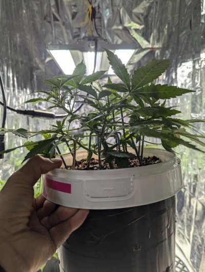 2024 ONE GALLON CHALLENGE PHOTO SUBMISSION TOPIC