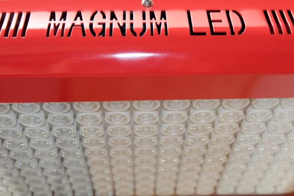 Magnum Plus