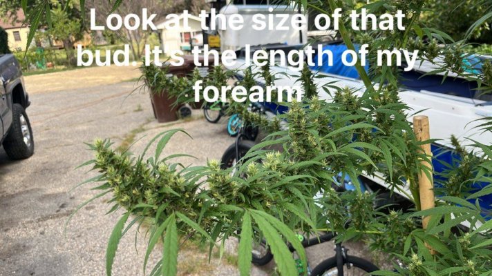 New to site