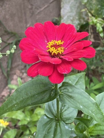 IMG_0612.jpeg