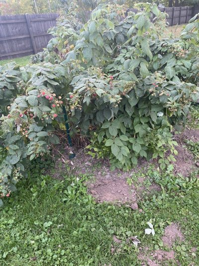 IMG_0664.jpeg