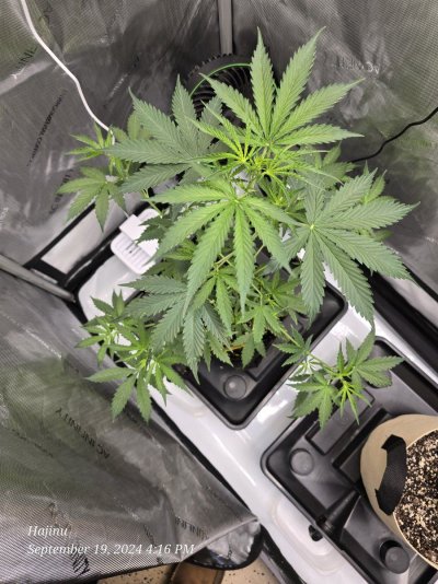 2024 ONE GALLON CHALLENGE PHOTO SUBMISSION TOPIC