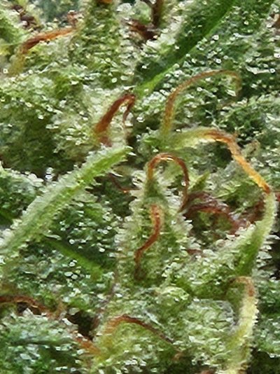 20240924_083017.jpg