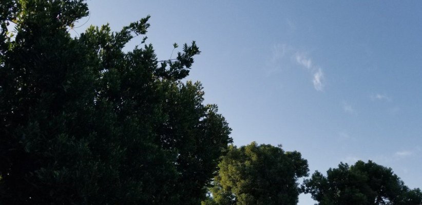 California Farmers - Introduce and Meet Growers Near You