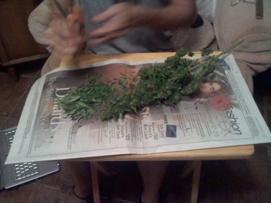 20110901203751.jpg