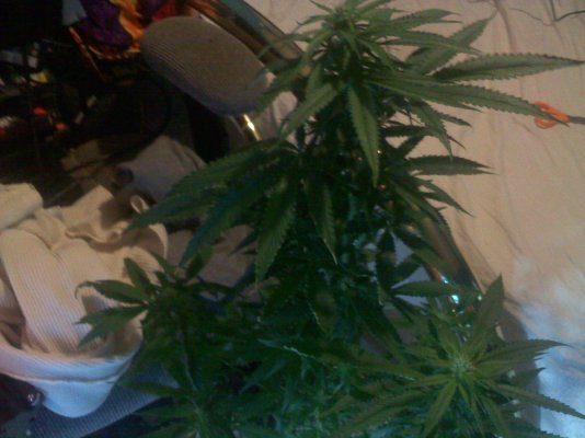 20111007213842.jpg