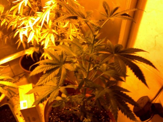 09102011835.jpg