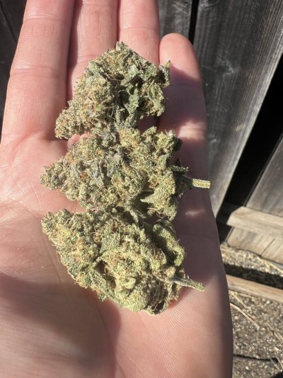 What Are You Smoking?