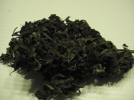 Just a fast high from gooeyBreeder.