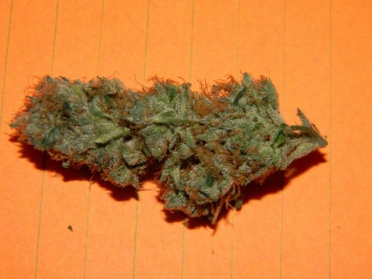 california nugz