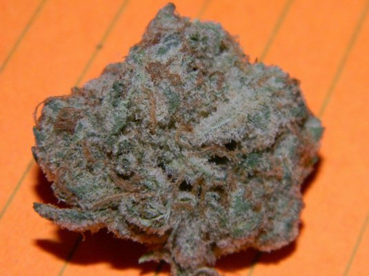 california nugz