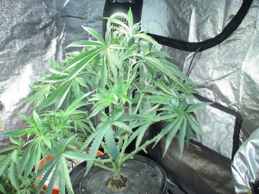 living-hydro-015.jpg