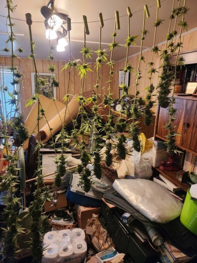 Let's see your 2024 outdoor grow!!