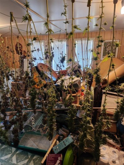 Let's see your 2024 outdoor grow!!