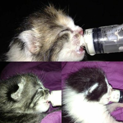 THE TRAINWRECK. Brought to you by thcfarrmer…..