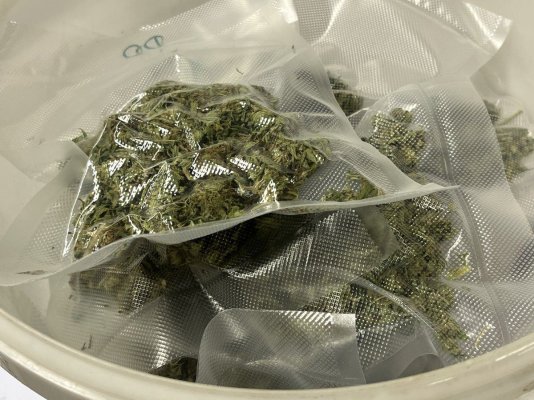 Let's see your 2024 outdoor grow!!