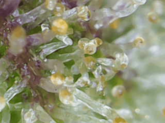 Image_2024-10-24 20_44_00_197.png