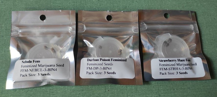 Which  is the most reliable seed bank?