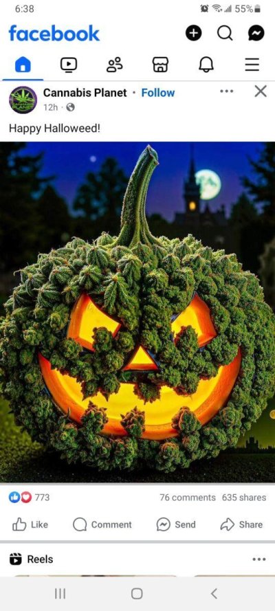 Happy Halloween Growers Be Safe
