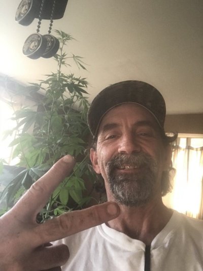 Hi Everyone I’m New Just wanting to learn as much as I can about growing I have a tent everything I need to grow Thanks for the Add