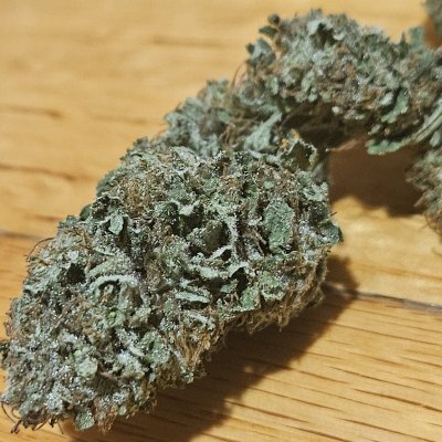 Let's see your 2024 outdoor grow!!