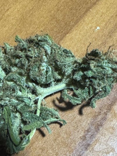 current-cure-high-rh-issues-2.jpeg