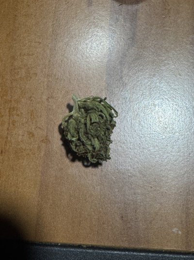 current-cure-high-rh-issues-4.jpeg