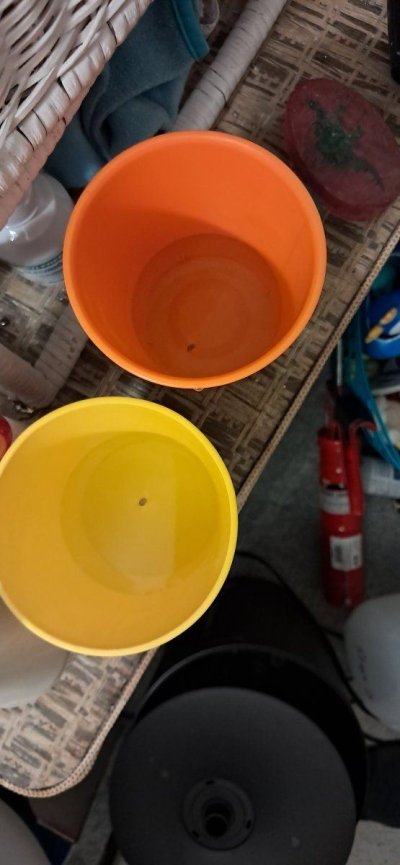 20241112_201006.jpg