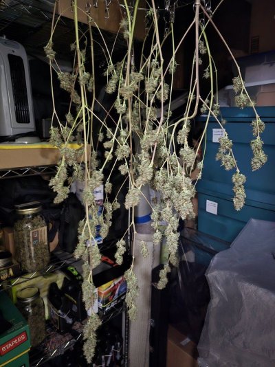 2024 ONE GALLON CHALLENGE PHOTO SUBMISSION TOPIC