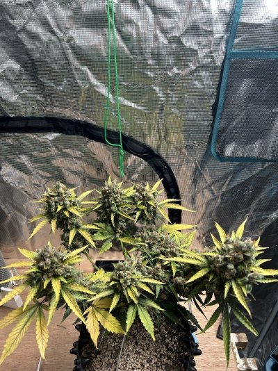 2024 ONE GALLON CHALLENGE PHOTO SUBMISSION TOPIC
